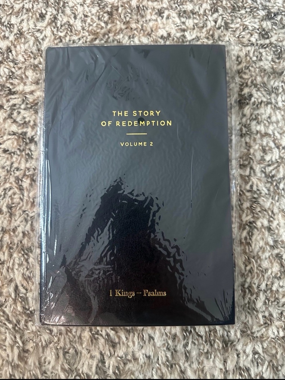 The Daily Grace Journal